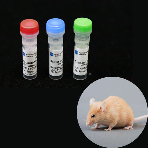 Реактив моноклональное антитело - BAB1738 - MULTI SCIENCES(LIANKE) BIOTECH, CO.,LTD. - коллагена / для исследований / для ветеринарной лаборатории