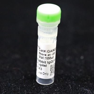 Реактив моноклональное антитело - BAB1727 - MULTI SCIENCES(LIANKE) BIOTECH, CO.,LTD. - консерватор / для исследований / для ветеринарной лаборатории