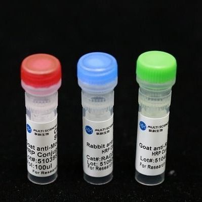 Реактив моноклональное антитело - BAB1726 - MULTI SCIENCES(LIANKE) BIOTECH, CO.,LTD. - консерватор / коллагена / для исследований