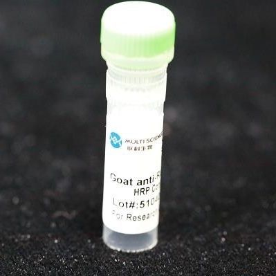 Реактив моноклональное антитело - BAB1724 - MULTI SCIENCES(LIANKE) BIOTECH, CO.,LTD. - консерватор / коллагена / для исследований