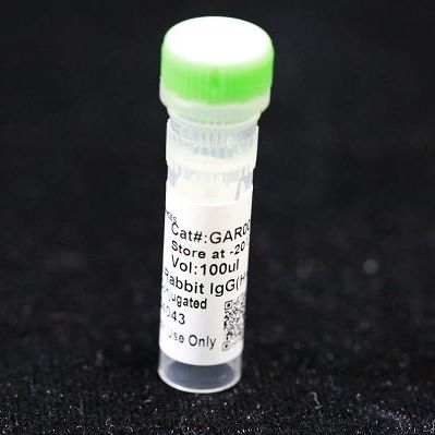 Реактив моноклональное антитело - BAB1719 - MULTI SCIENCES(LIANKE) BIOTECH, CO.,LTD. - консерватор / для исследований / для протеинов