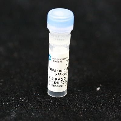 Реактив моноклональное антитело - BAB1716 - MULTI SCIENCES(LIANKE) BIOTECH, CO.,LTD. - консерватор / для исследований / для протеинов