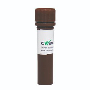 Реактив загрузочный буфер - SuperStain - Jiangsu CoWin Biotech Co.,Ltd - краситель / для микробиологии