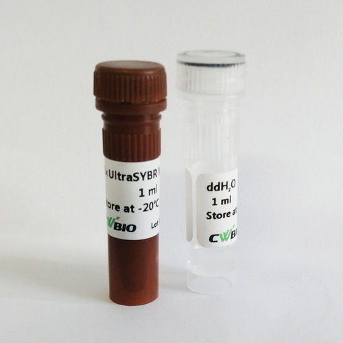 Реактив фермент - UltraSYBR Mixture - Jiangsu CoWin Biotech Co.,Ltd - ДНК-полимераза / Taq-полимераза / краситель