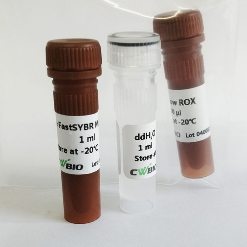 Реактив фермент - FastSYBR Mixture - Jiangsu CoWin Biotech Co.,Ltd - ДНК-полимераза / Taq-полимераза / для qPCR
