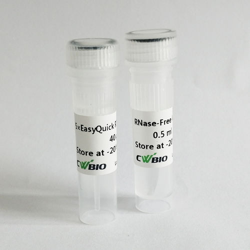Набор реактивов обратная транскриптаза - EasyQuick RT - Jiangsu CoWin Biotech Co.,Ltd - для синтеза cDNA