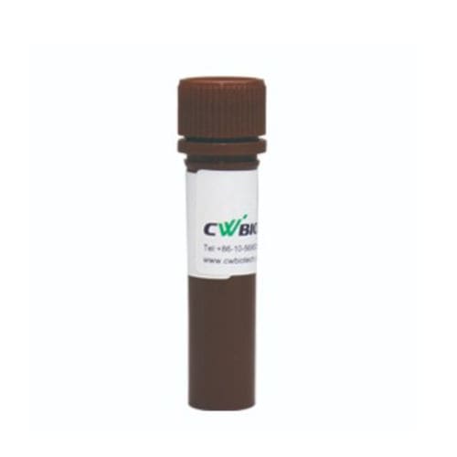 Реактив фермент - FastSYBR - Jiangsu CoWin Biotech Co.,Ltd - Taq-полимераза / для qPCR / горячий старт