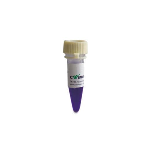 Реактив ДНК-полимераза - 2×Flash - Jiangsu CoWin Biotech Co.,Ltd - краситель / для PCR / горячий старт
