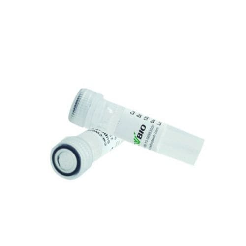 Реактив протеаз - CW2572L - Jiangsu CoWin Biotech Co.,Ltd - протеиназа К / для микробиологии / pH