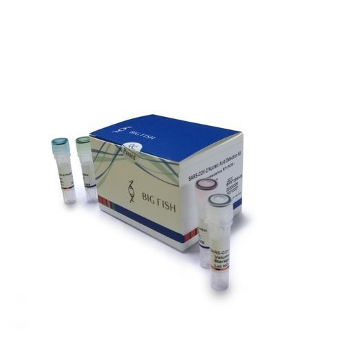 Набор для теста COVID-19 - BFRT06M series - Hangzhou Bigfish Bio-tech Co., Ltd. - гены / SARS-COV-2 / для нуклеиновых кислот