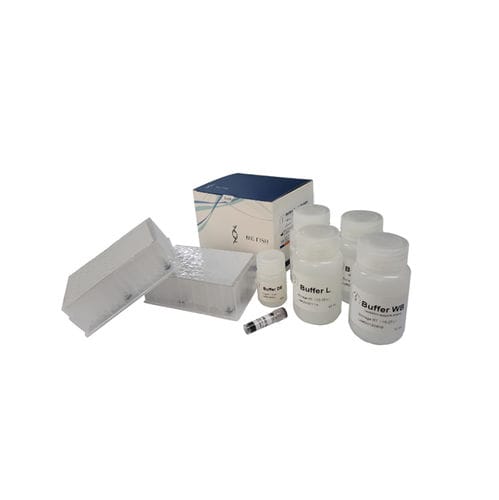 Реактив в растворе - BFMP08 series - Hangzhou Bigfish Bio-tech Co., Ltd. - для PCR / для RT-PCR / на коронавирус