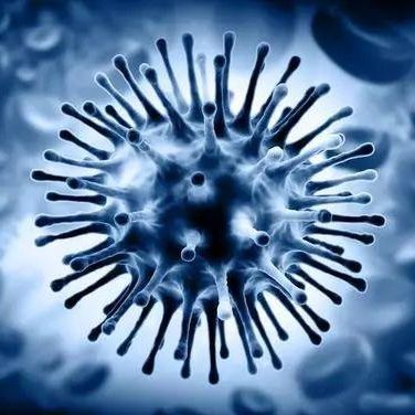 Набор для теста на инфекционные заболевания - Artron Bioresearch Inc. - гриппа А / гриппа В / назофарингеальный