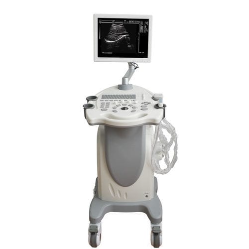Ультразвуковой сканер на платформе - MDK-9300 - Mianyang United Ultrasound Electronics - для поливалентной эхографии / черно-белый / 15 дюймов
