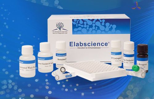 Набор для теста для исследований - QuicKey Pro™ - Elabscience Biotechnology Inc. - на интерлейкин 6 / плотности / сыворотки