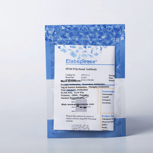 Реактив в растворе - E-AB-V1002 - Elabscience Biotechnology Inc. - моноклональное антитело / апоптозный / для вестерн-блоттинга