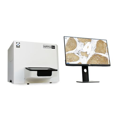 Цифровой преобразователь предметных стекол для микроскопа - Optimus - 6  - Morphle Labs - автоматический / со светлым фоном / высокоскоростной