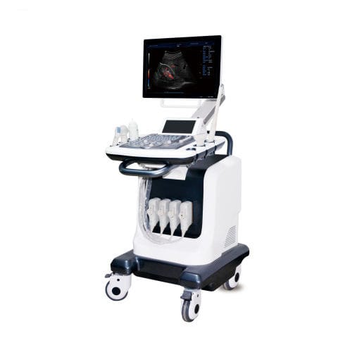 Ультразвуковой сканер 3D/4D - Cheap Laptop 3d Color Doppler System - Tianjin Guyufan Biological Technology - на платформе / цветовой допплер / спектральный допплер