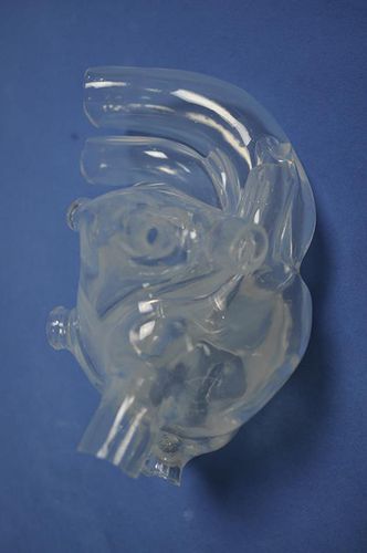 Анатомическая модель сердца - XX011D - Trando 3D Medical Technology - для образовательных целей / мужская / взрослый человек