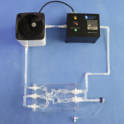 Модель кровеносных сосудов артерии - SJK002D-01 - Trando 3D Medical Technology - сонной артерии / кровеносных сосудов / мозговая