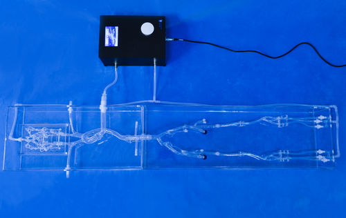 Анатомическая модель неврология - FA003D - Trando 3D Medical Technology - бедренной артерии / мини-инвазивной хирургии / учебная