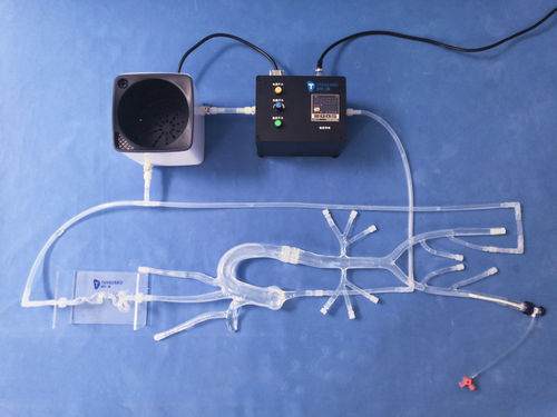 Внутричерепная модель кровеносных сосудов - XXS011 - Trando 3D Medical Technology - кровеносных сосудов / артерии / бедренной артерии
