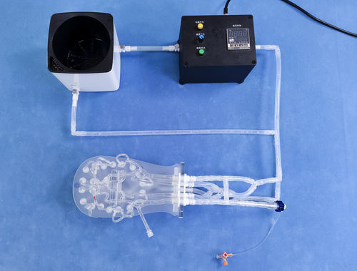 Внутричерепная анатомическая модель - SJL001D - Trando 3D Medical Technology - сонной артерии / учебная / прозрачная