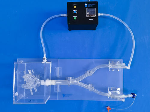 Учебный медицинский симулятор - XX013D - Trando 3D Medical Technology - для наложения швов на раны / для сосудистой хирургии