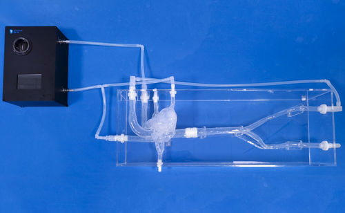 Модель кровеносных сосудов сердца - XXS019 - Trando 3D Medical Technology - сустава / кровеносных сосудов / артерии