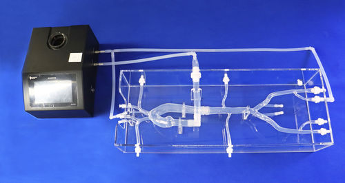 Модель кровеносных сосудов для сердца - XXD023 - Trando 3D Medical Technology - кровеносных сосудов / артерии / абдоминальная
