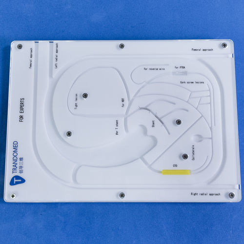 Модель кровеносных сосудов коронарных артерий - PCI-21 - Trando 3D Medical Technology - мини-инвазивной хирургии / учебная / для сосудистого доступа