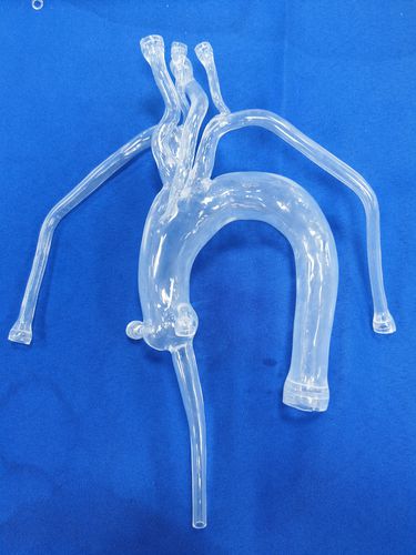 Анатомическая модель для сердца - XX001D1-03 - Trando 3D Medical Technology - мини-инвазивной хирургии / учебная / прозрачная
