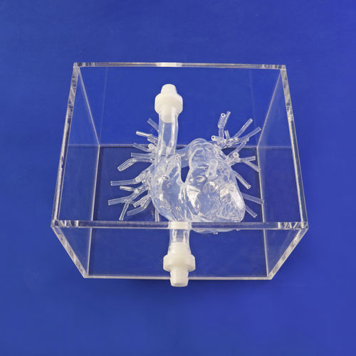 Анатомическая модель артерии - PA001-02 - Trando 3D Medical Technology - мини-инвазивной хирургии / учебная / прозрачная