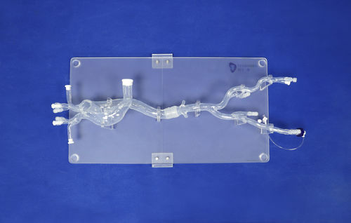 Модель кровеносных сосудов кровеносных сосудов - XXD019 - Trando 3D Medical Technology - артерии / мини-инвазивной хирургии / учебная
