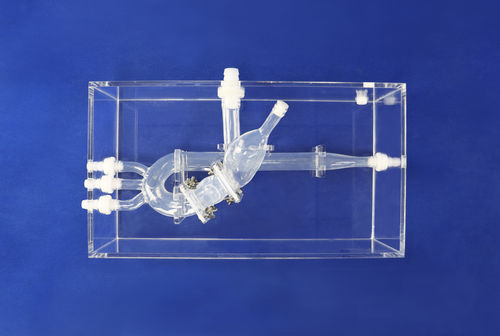 Анатомическая модель для сердца - XXD015 - Trando 3D Medical Technology - для торакальной зоны / мини-инвазивной хирургии / учебная