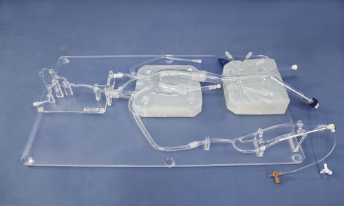 Анатомическая модель артерии - SJ001D-05 - Trando 3D Medical Technology - бедренной артерии / сонной артерии / абдоминальная