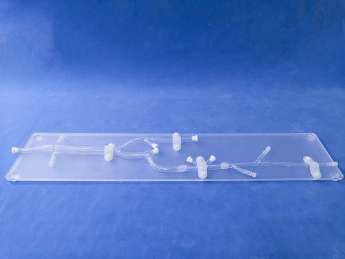 Анатомическая модель для нижних конечностей - XZ005D - Trando 3D Medical Technology - мини-инвазивной хирургии / учебная / прозрачная