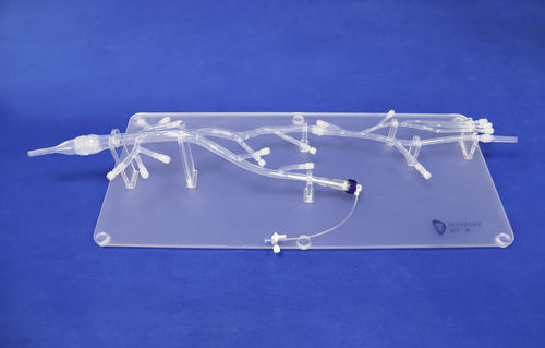 Анатомическая модель для нижних конечностей - XZS001-1 - Trando 3D Medical Technology - мини-инвазивной хирургии / учебная / прозрачная
