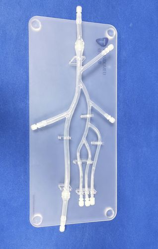 Анатомическая модель ноги - XXD006 - Trando 3D Medical Technology - для нижних конечностей / мини-инвазивной хирургии / учебная