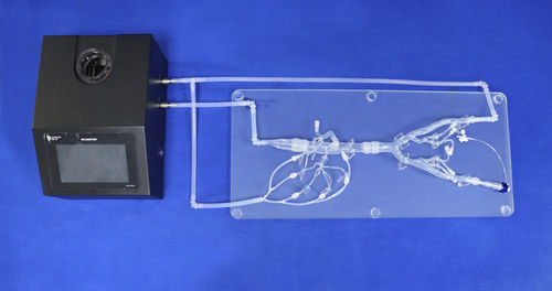 Анатомическая модель артерии - FBD017 - Trando 3D Medical Technology - абдоминальная / мини-инвазивной хирургии / учебная