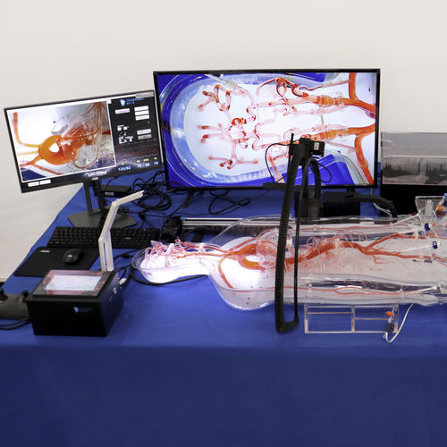 Медицинский симулятор для гастроскопии - EVT011 - Trando 3D Medical Technology - учебный / для чрескожного коронарного вмешательства / для чрескожной канюляции лучевой артерии