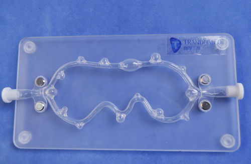 Анатомическая модель артерии - SJX006 - Trando 3D Medical Technology - кровеносных сосудов / учебная / с аневризмой