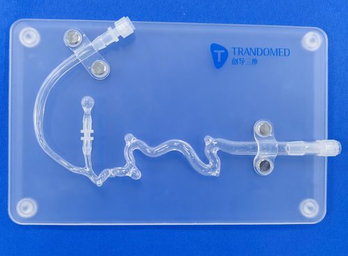 Модель кровеносных сосудов кровеносных сосудов - SJX011 - Trando 3D Medical Technology - внутричерепная / для нейрохирургии / учебная