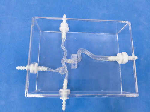 Анатомическая модель сонной артерии - Trando 3D Medical Technology - кровеносных сосудов / для нейрохирургии / учебная