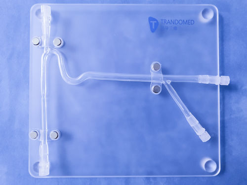 Модель кровеносных сосудов сонной артерии - Trando 3D Medical Technology - кровеносных сосудов / для нейрохирургии / учебная