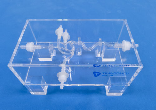 Модель кровеносных сосудов кровеносных сосудов - SDL006 - Trando 3D Medical Technology - мозговая / внутричерепная / для сосудистой хирургии