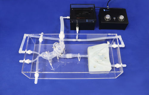 Анатомическая модель для сердца - XXD012 - Trando 3D Medical Technology - для аортального клапана / мини-инвазивной хирургии / учебная