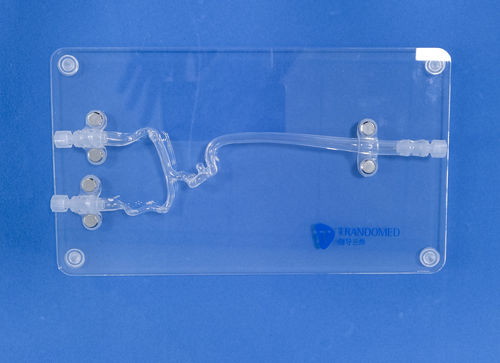 Модель кровеносных сосудов кровеносных сосудов - JYX001-3 - Trando 3D Medical Technology - мозговая / внутричерепная / для нейрохирургии