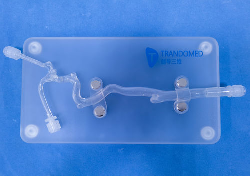 Модель кровеносных сосудов кровеносных сосудов - JYX001-5 - Trando 3D Medical Technology - мозговая / внутричерепная / для сосудистой хирургии