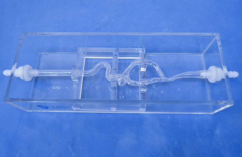 Модель кровеносных сосудов артерии - SJK004D - Trando 3D Medical Technology - кровеносных сосудов / учебная / прозрачная