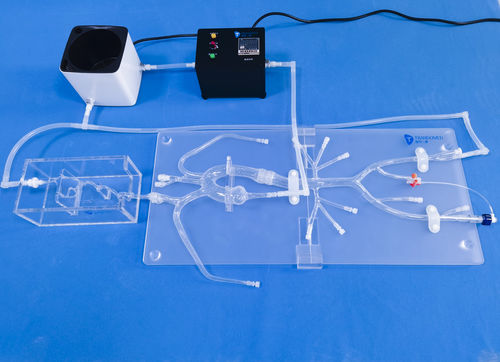 Внутричерепная анатомическая модель - SJ001D-04 - Trando 3D Medical Technology - мини-инвазивной хирургии / для нейрохирургии / неврология